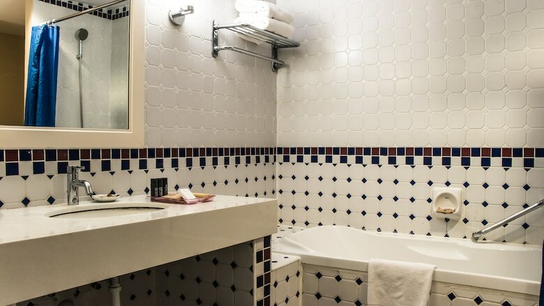 Hotel Colmar Tropicale