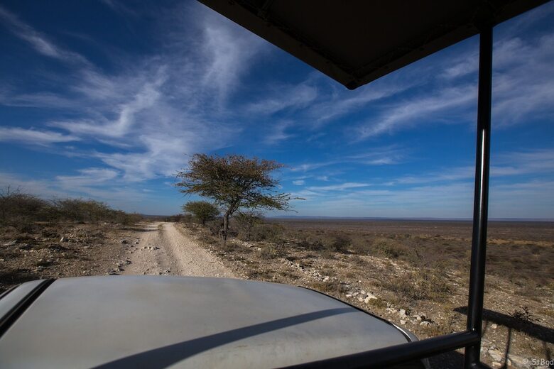 Posada Aloegrove Safari Lodge