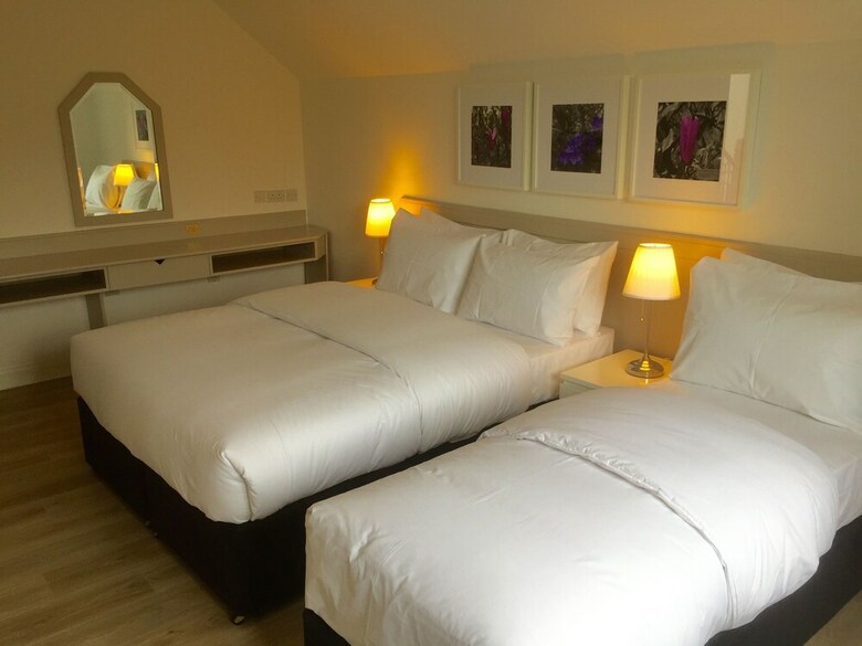 Hotel Ballsbridge Townhouse - Merrion Road