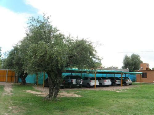 Lodge Caba�as Terra Olivo