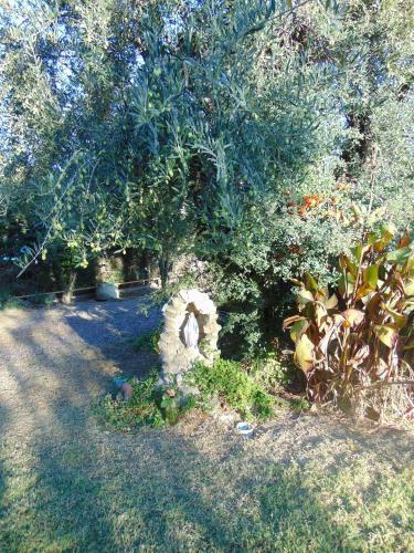 Lodge Caba�as Terra Olivo