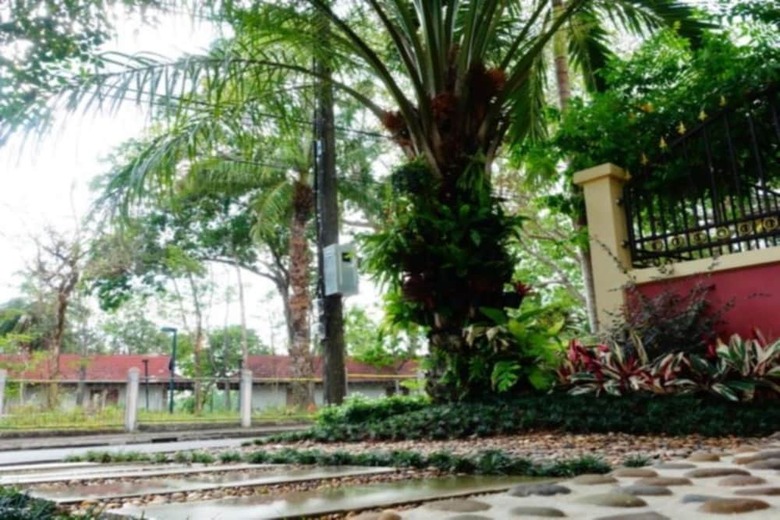 Hotel P.p. Palm Mansion