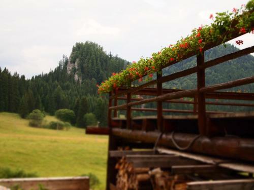 Hostal Penzi�n ?adov�