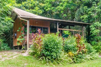 Bed & Breakfast Epiphyte B & B