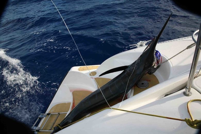 Tahiti Sail And Dive