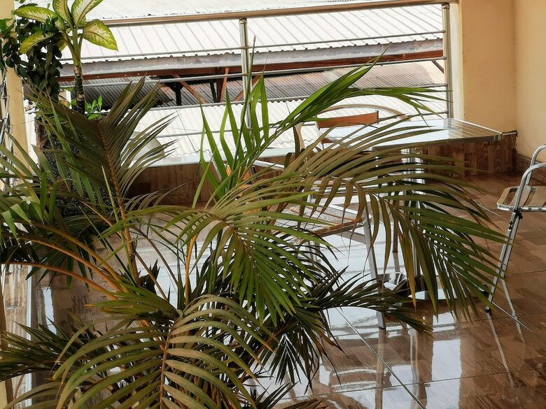 Hotel The Golden Apple Guest House