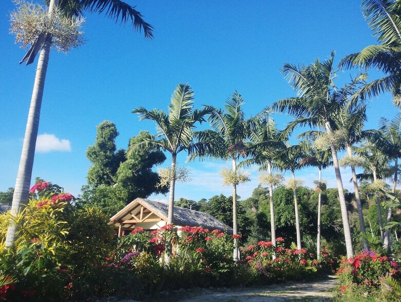 Apartamento Tanna Evergreen Resort & Tours