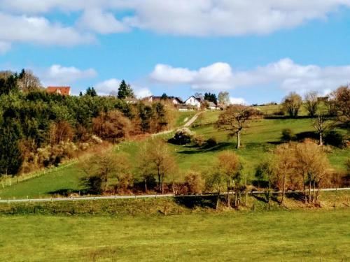 Apartamento Ferienwohnungen Willrich