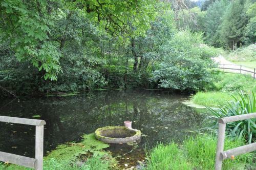 Agroturismo Blumbauernhof