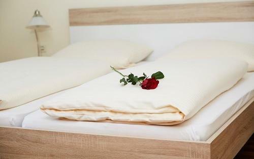 Hostal Hotel Landgasthof Wallburg