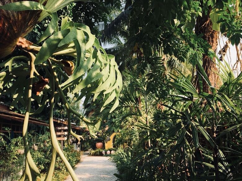 Hotel Bangtao Beach Chalet