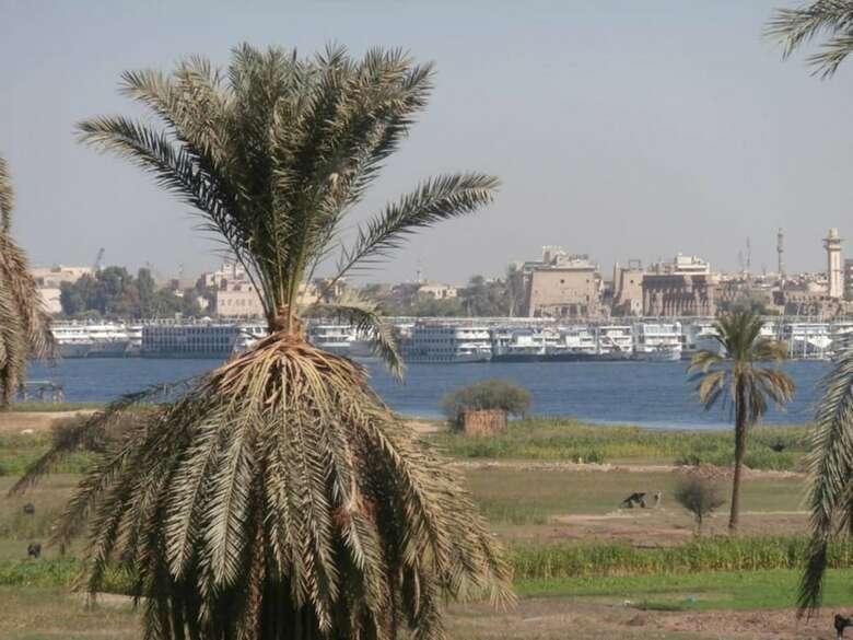 Apartamentos Nile View Hotel