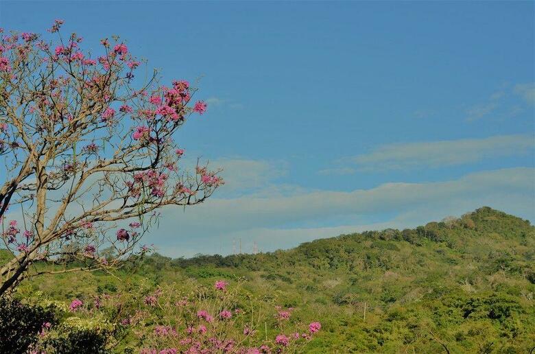 Hotel Treecasa Resort
