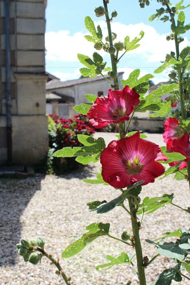 Bed & Breakfast Chambres D'h�tes Du Jardin