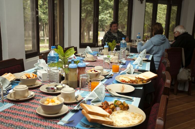 Hotel Jungle Safari Resort