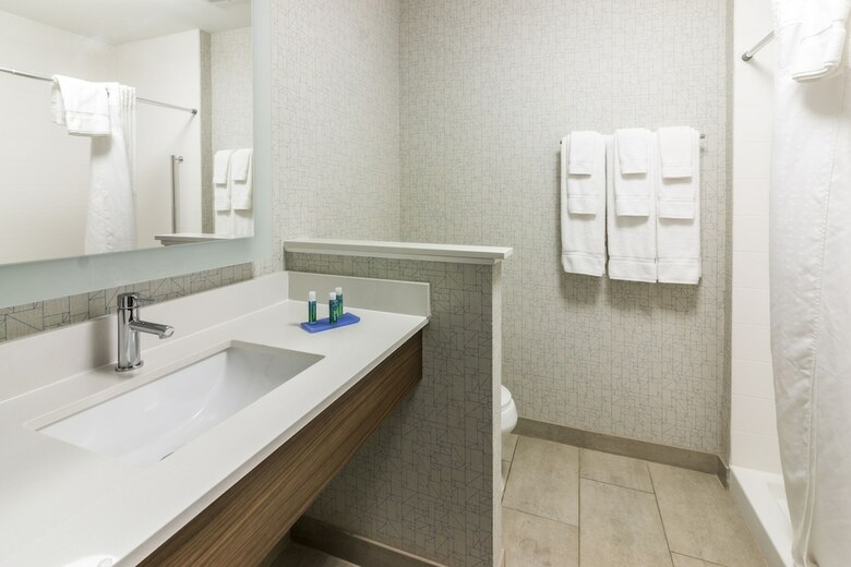 Hotel Holiday Inn Express Villa Rica