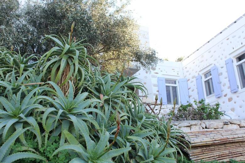 Good Life Greece Eco Villas