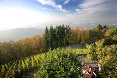 Hotel Burg Windeck ***s