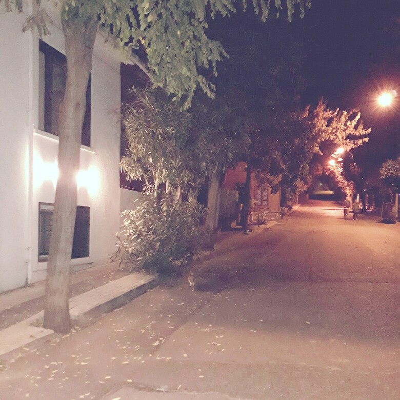 Pension Orhan Kutbay'in Evi Turyolu Cafe Pansiyon