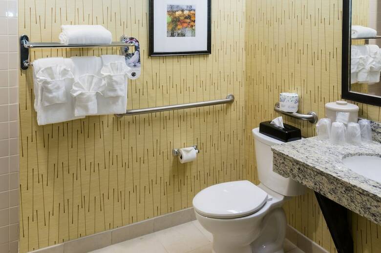 Holiday Inn Hotel And Conference Center Big Rapids