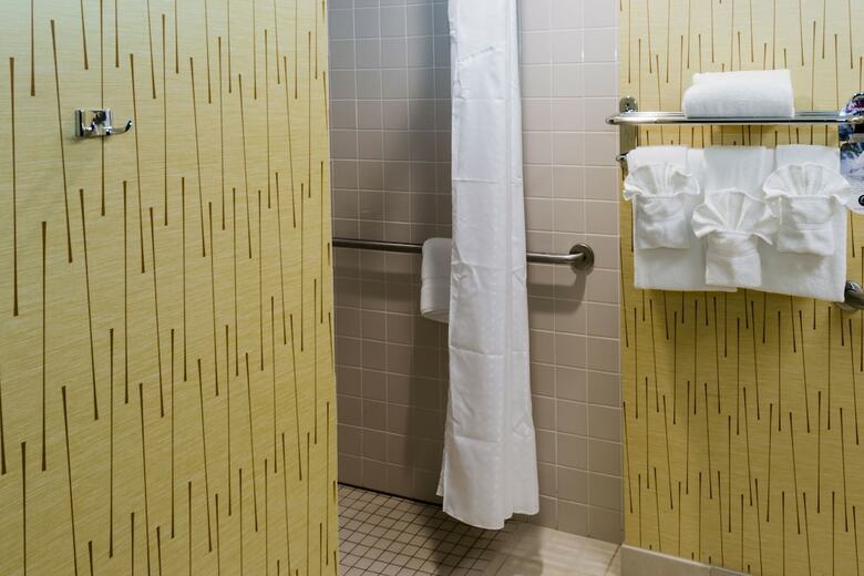 Holiday Inn Hotel And Conference Center Big Rapids