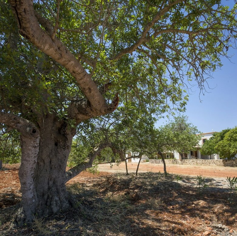 Villa Can Cama