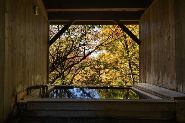 Tateshina Shinyu Onsen