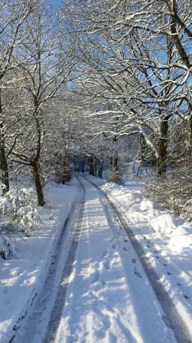 Hostal Landgasthof Zum Adler
