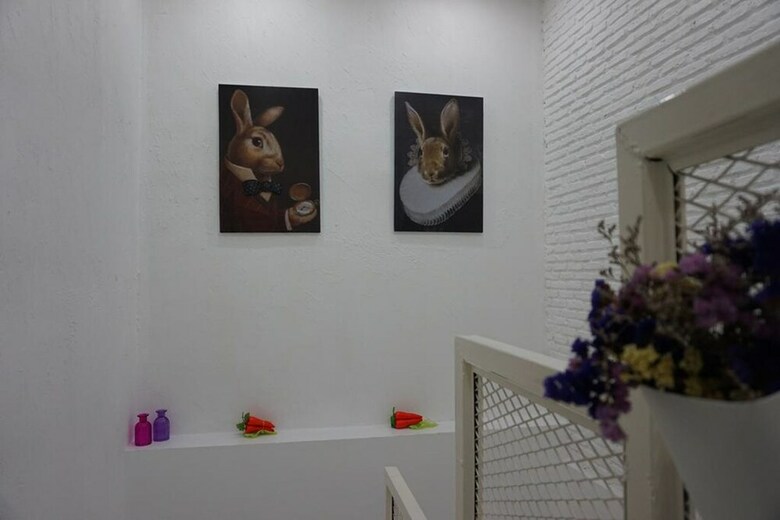 Hostal Rabbitat Hostel