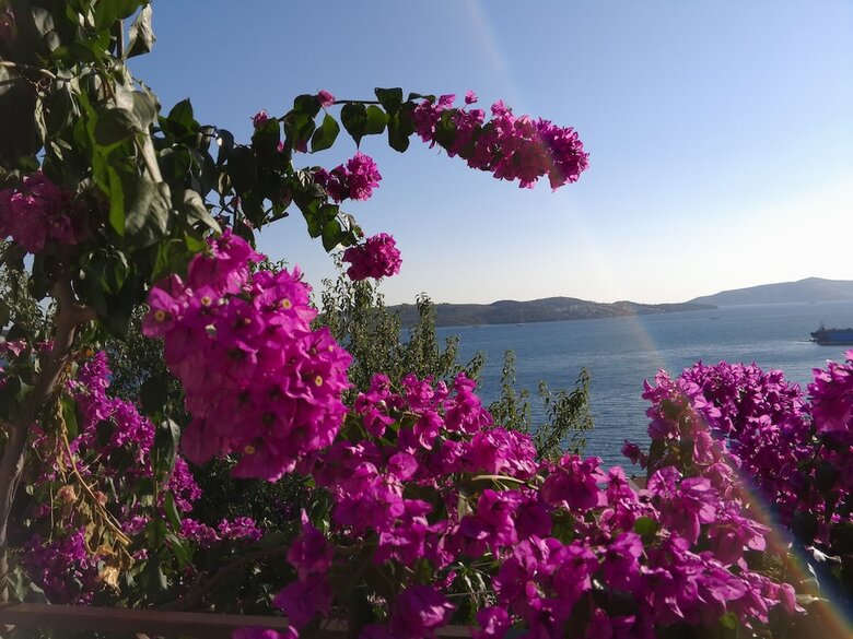 Apartamentos Villa Roza