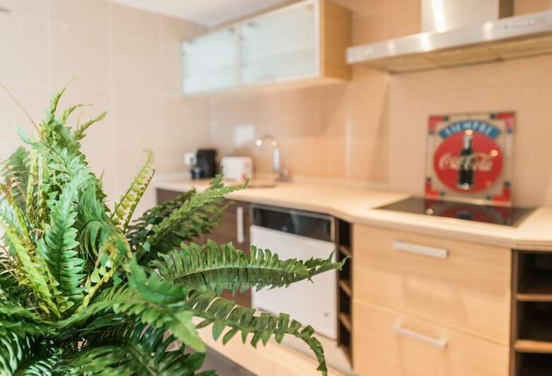 Apartamentos Duplex 2 Dormitorios En Malasa�a