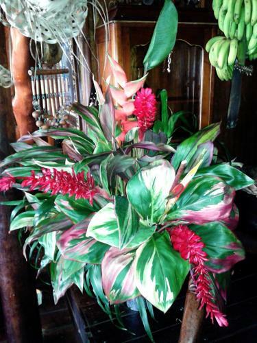 Hotel H�tel Fenua Mata'i'oa