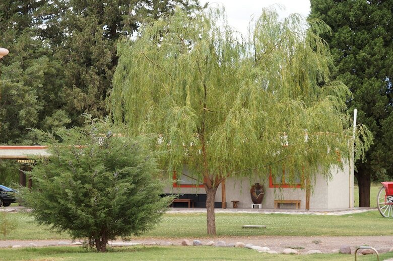 Complejo R�o Los Patos - Caba�as Y Hostel