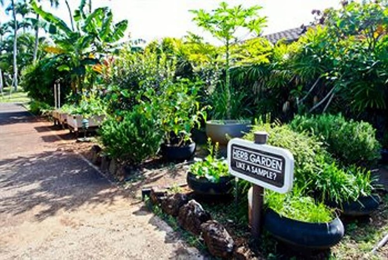 Pono Kai Resort By Crh