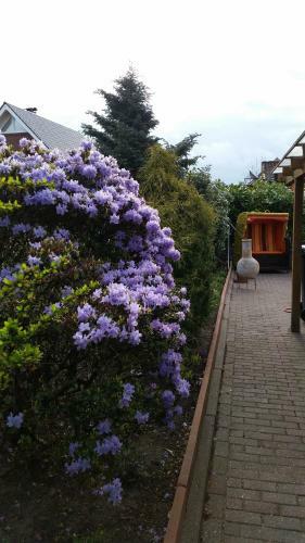 Apartamento Haus Nordseebrise