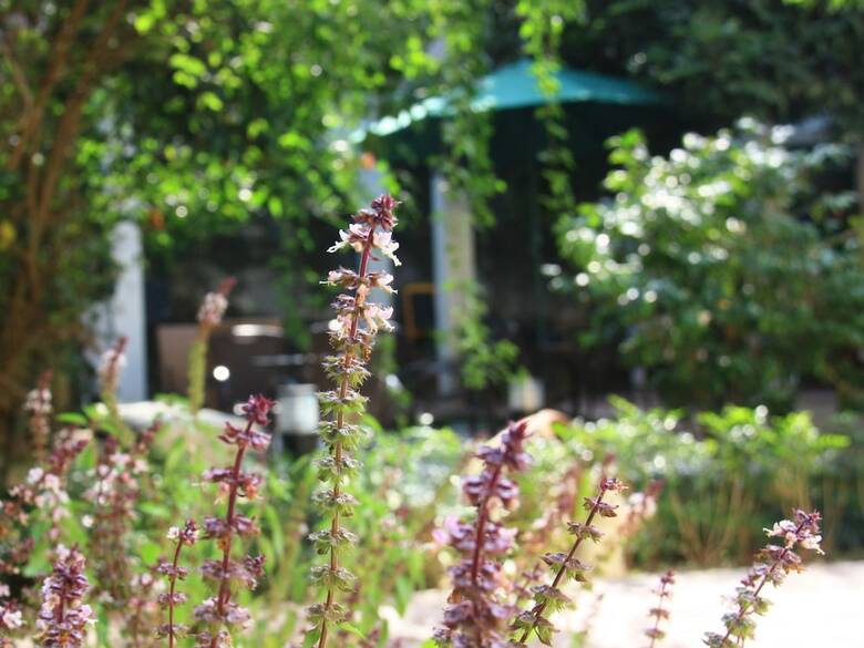 Hotel Judy's Inn