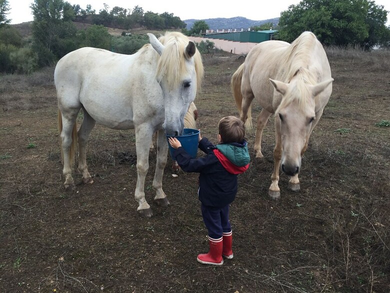Agroturismo Finca La Herencia