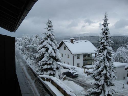 Hostal G�stehaus Steininger