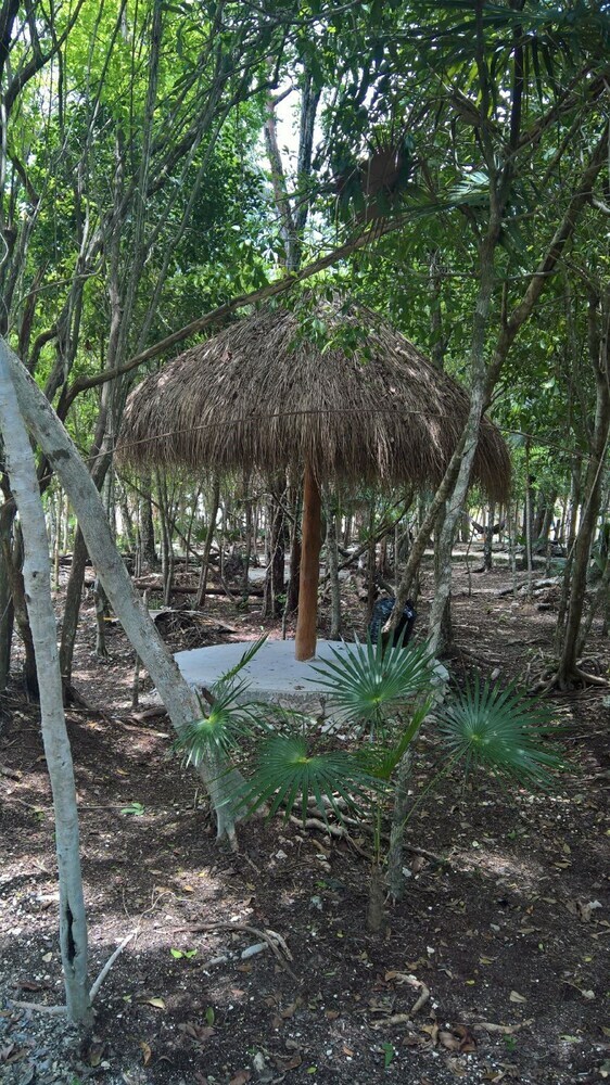 Tu Casa Condos