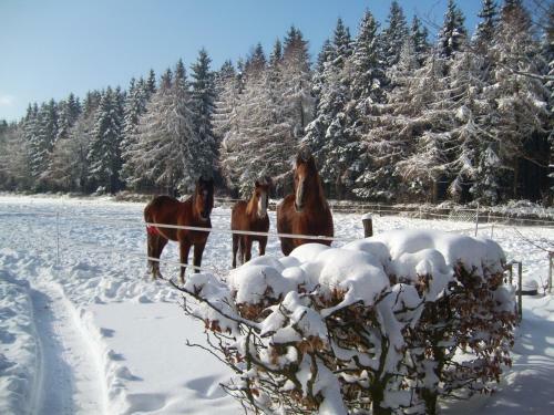 Agroturismo Farm Stay Heidehof
