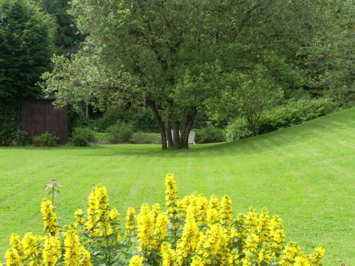 Agroturismo Farm Stay Heidehof