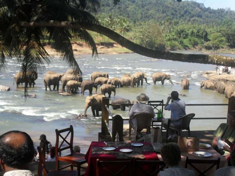 Hotel Elephant Bay