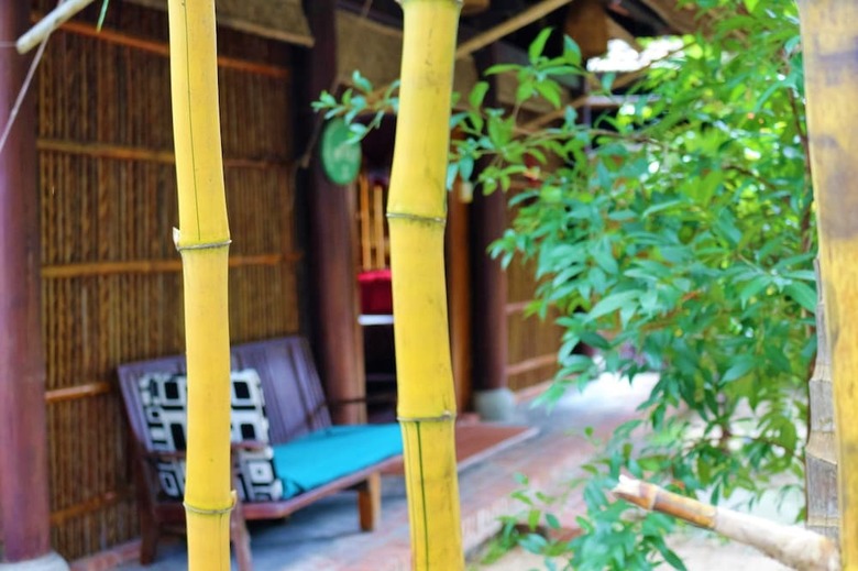 Hostal Under The Coconut Tree