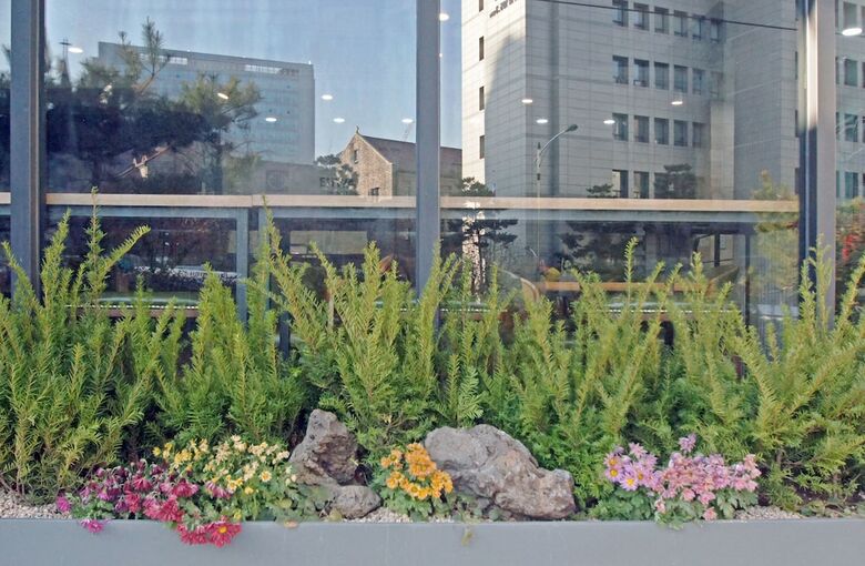Hotel Ehwa In Myeongdong