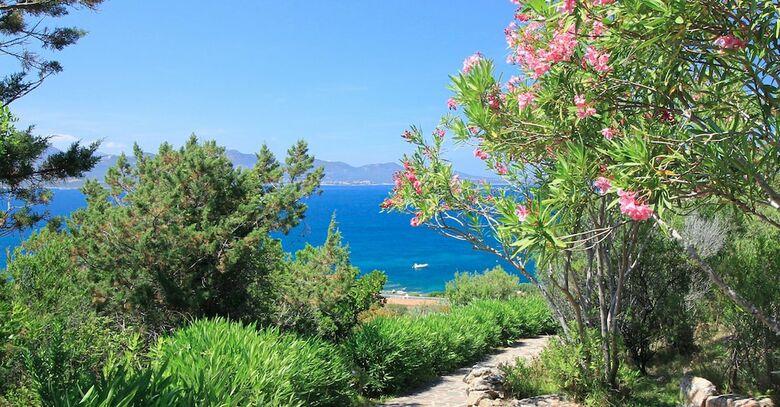 Apartamento Capo Ceraso Family Residence