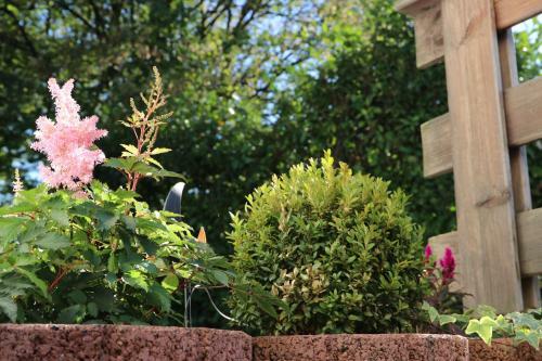 Hostal Privatzimmer Bellevue