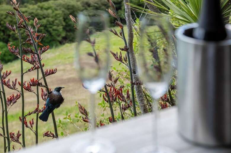 Bed & Breakfast Te Whau Lodge