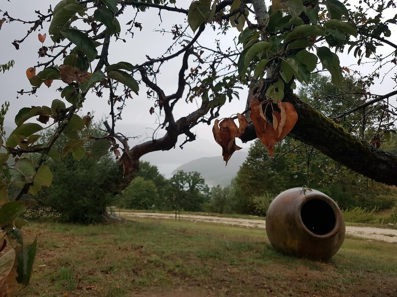 Agroturismo Locanda Colle Cerqueto