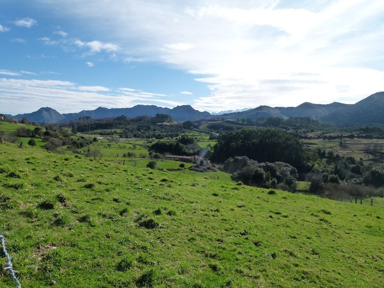 Hotel Finca Los Venancios