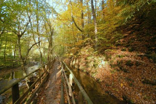 Waldhotel Im Wiesengrund